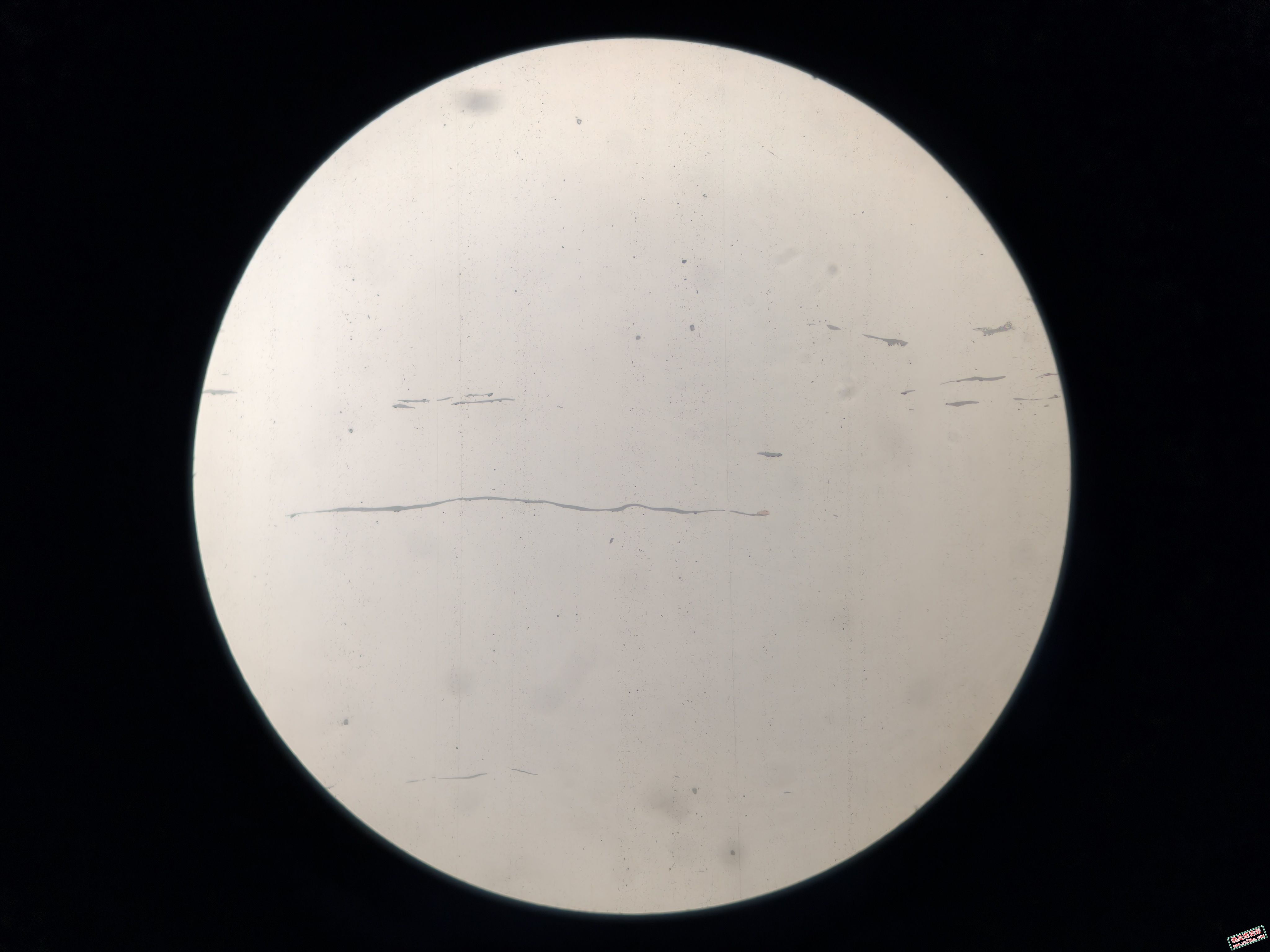 夹杂500x-2.jpg