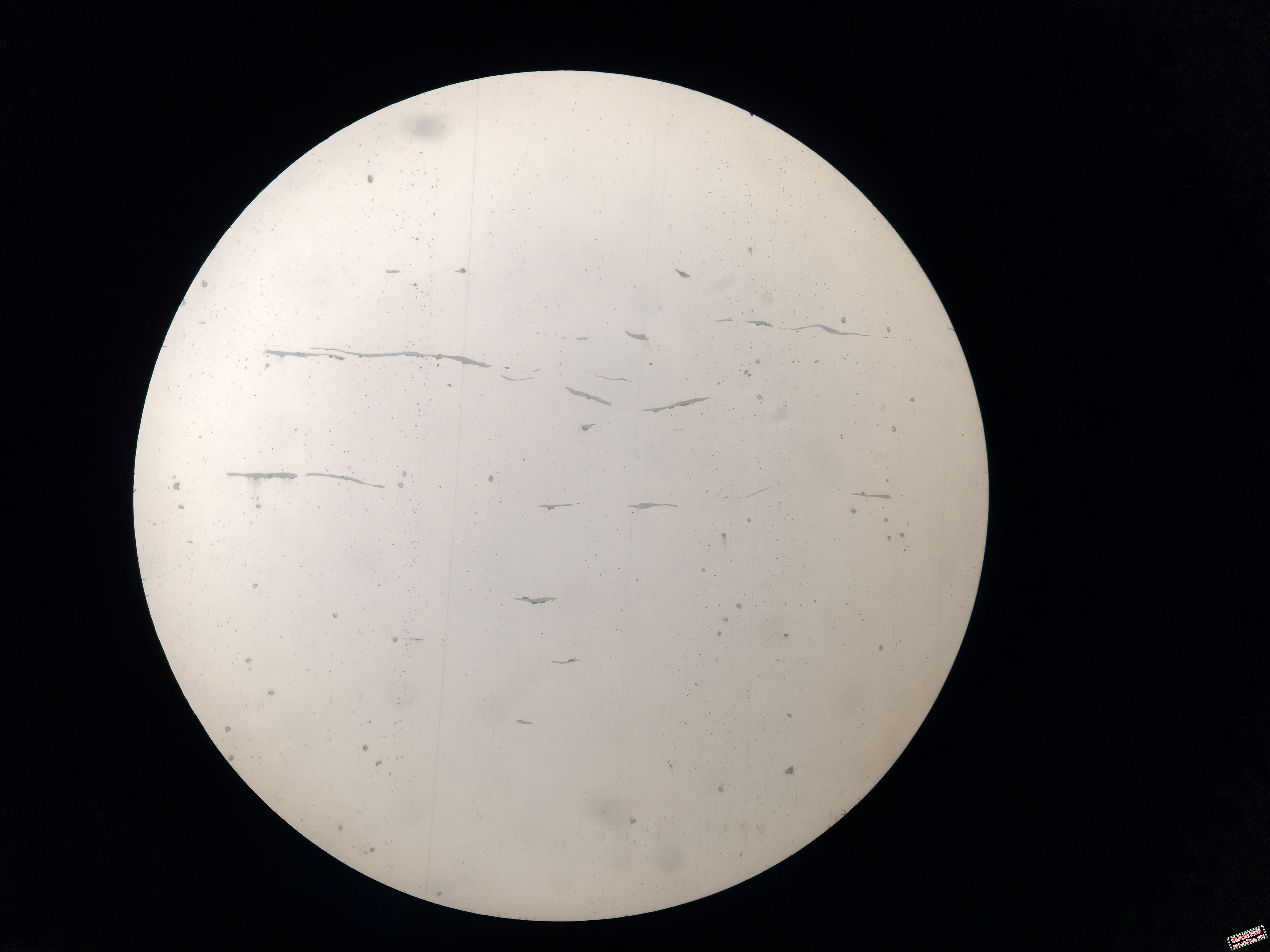 夹杂500x-3.jpg