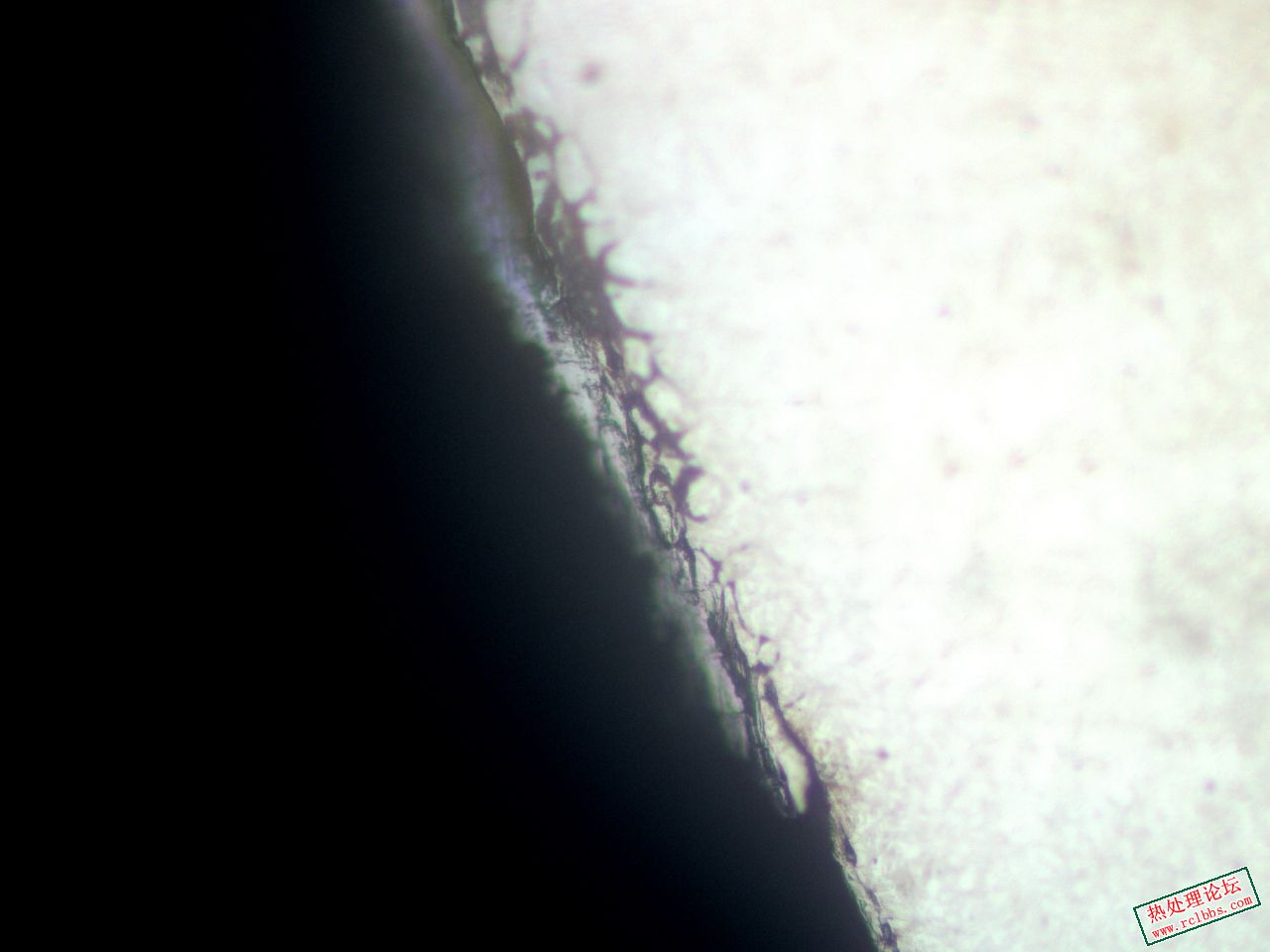 mmexport1777876607081.jpg