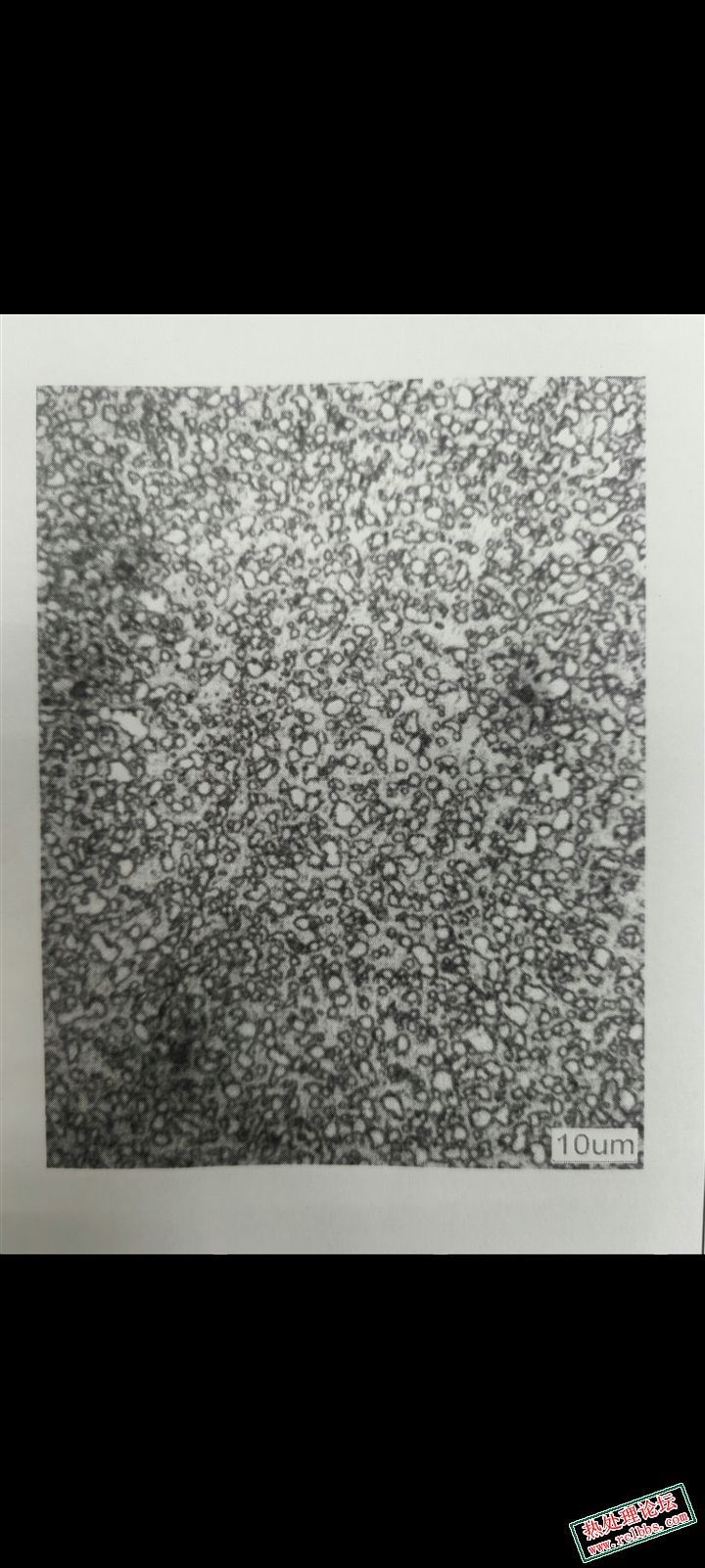 1000倍