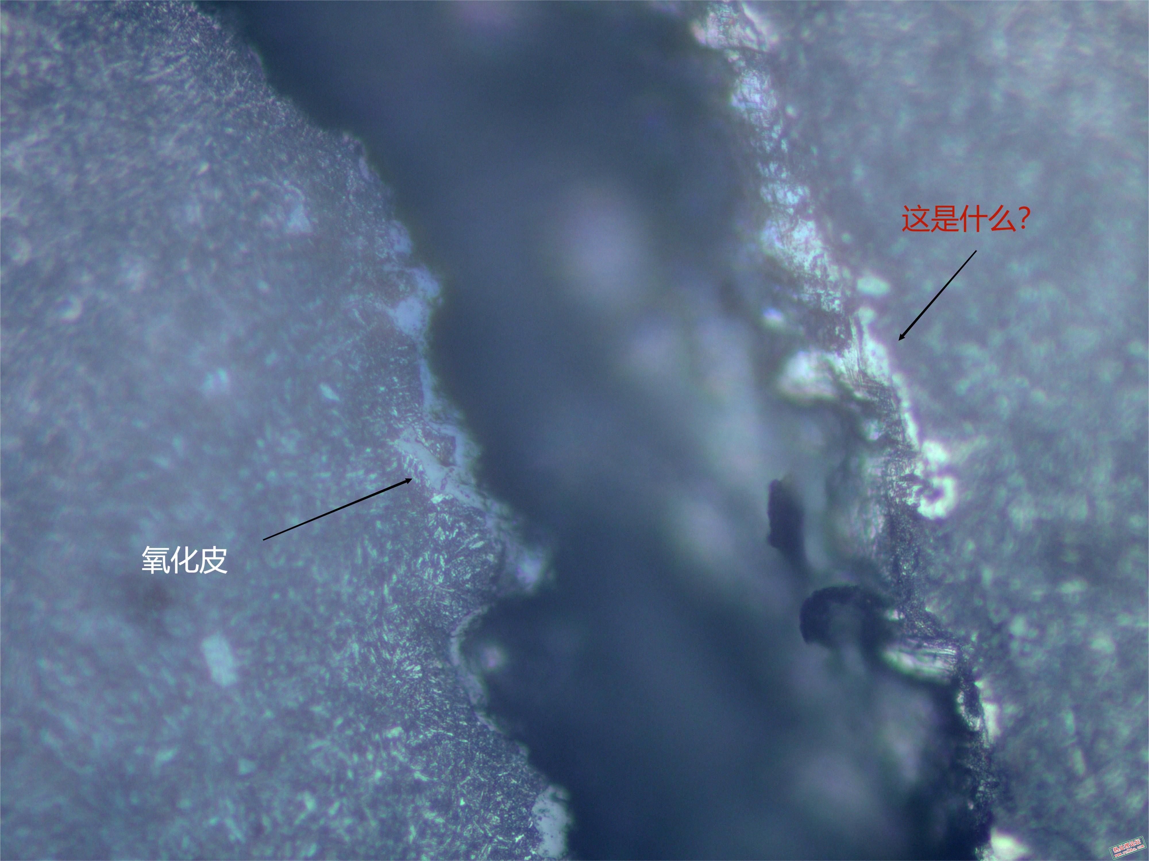 裂纹3-400X.jpg
