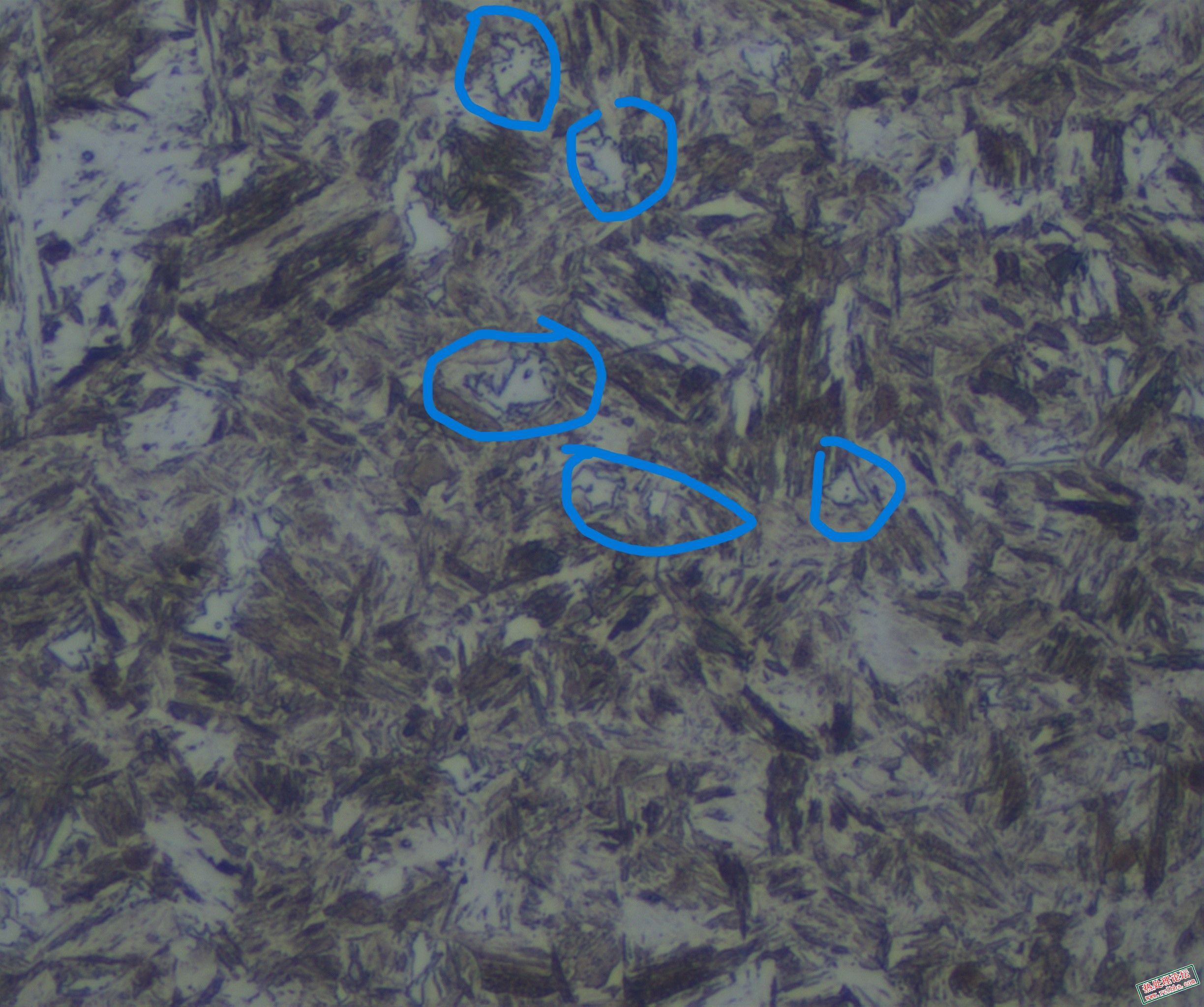 3#-1-1000X-2.jpg