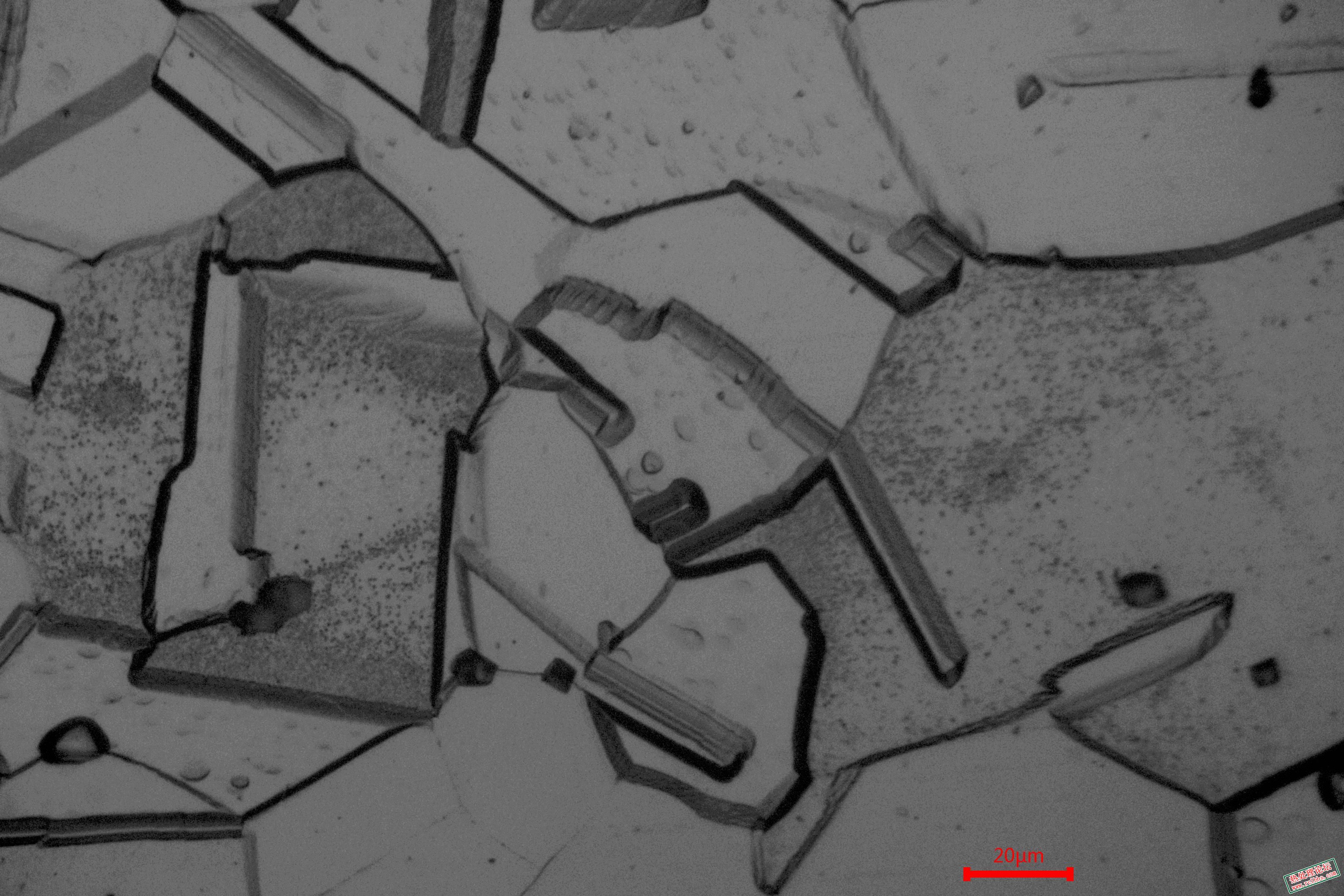500.jpg