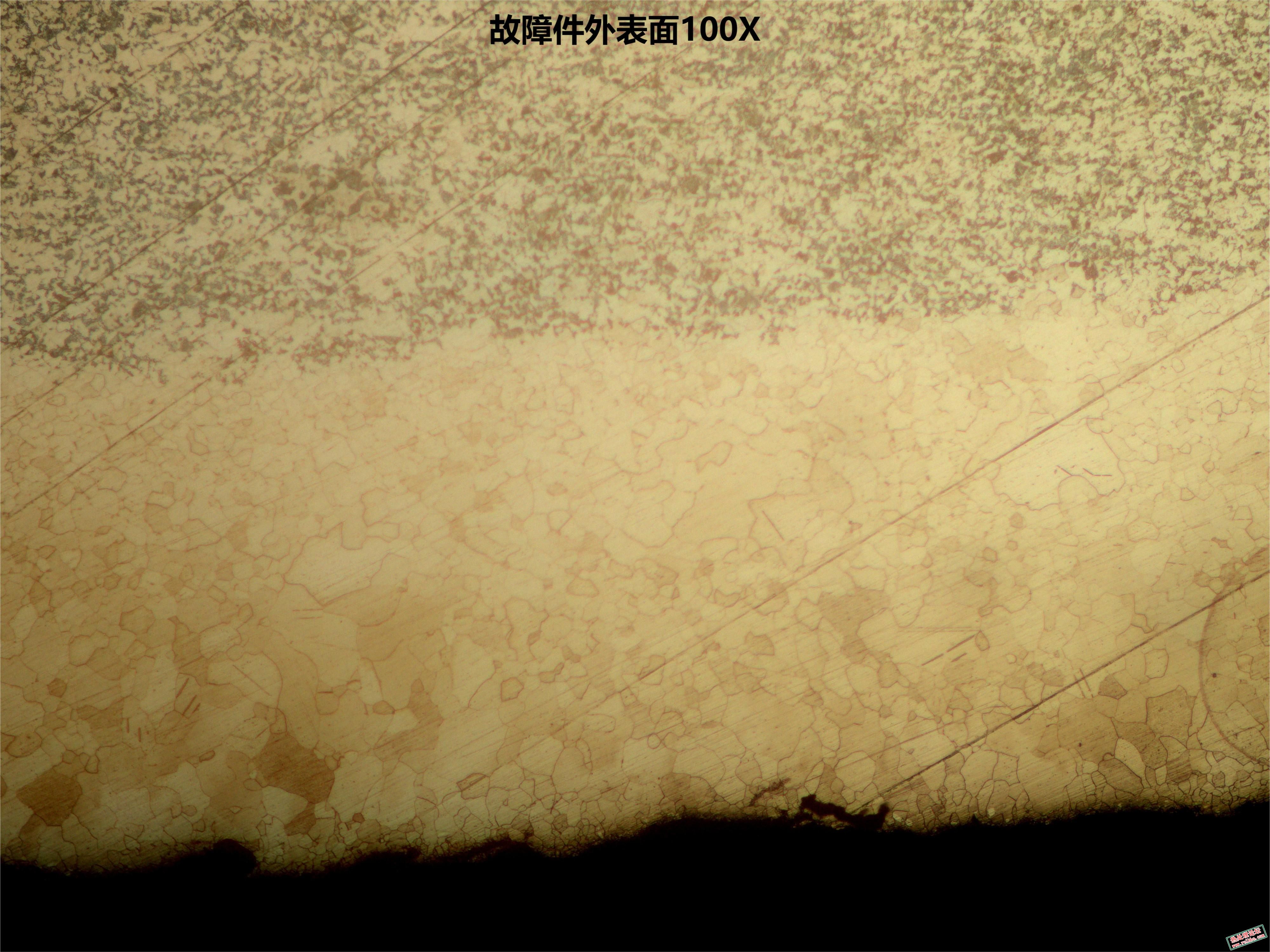 故障件外表面100X.jpg