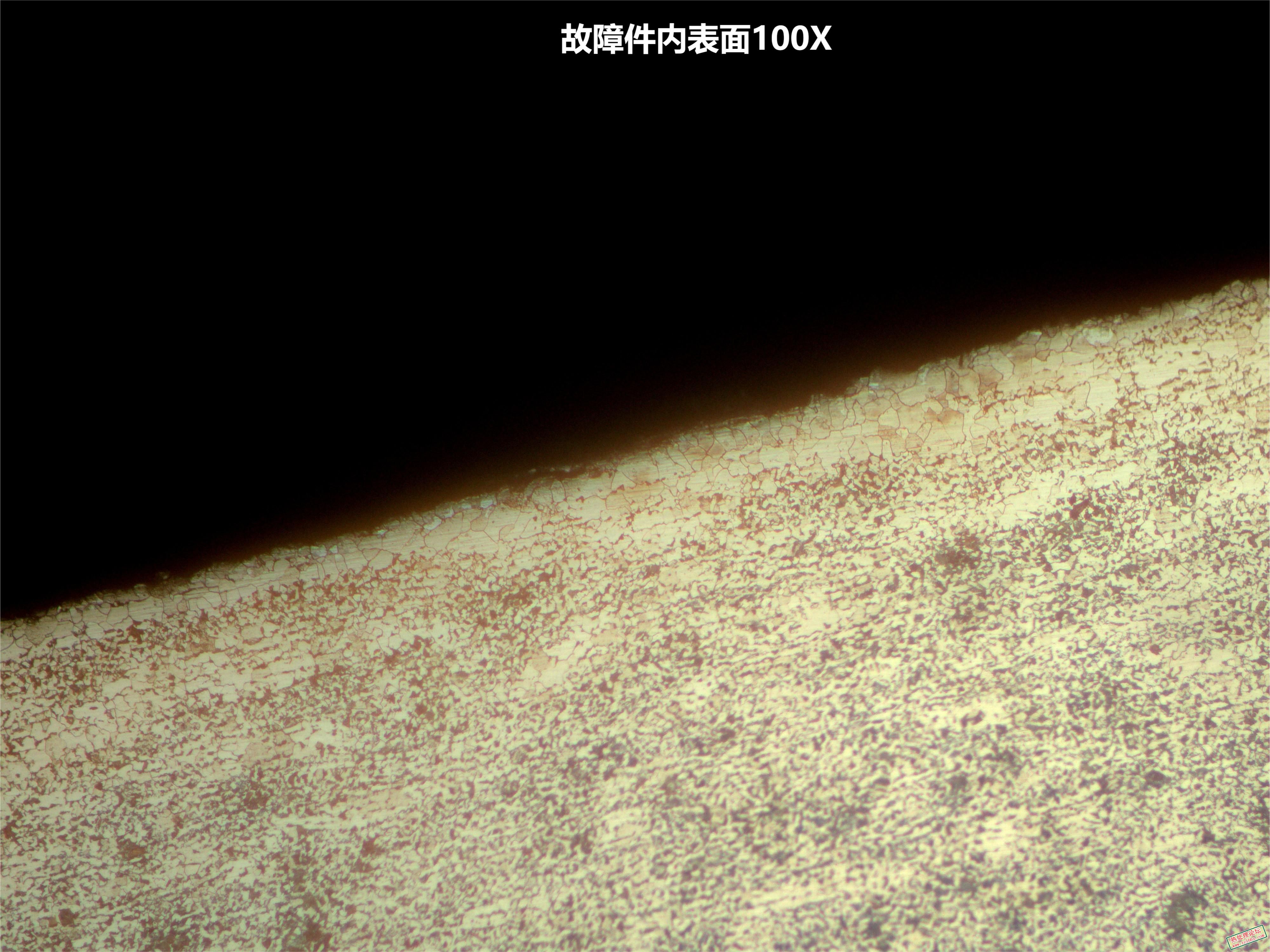 故障件内表面100X.jpg