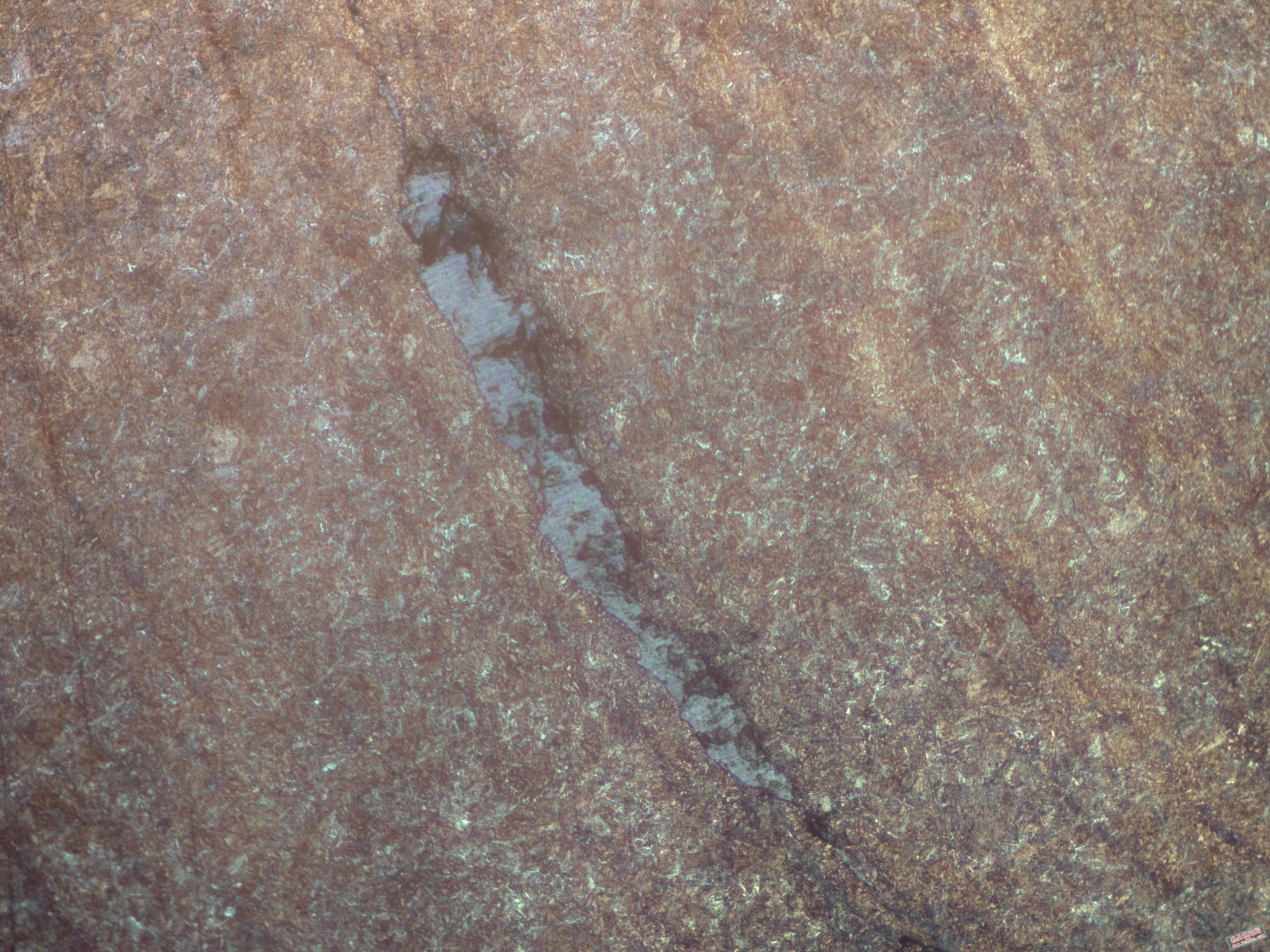 距断面5mm处100X.jpg