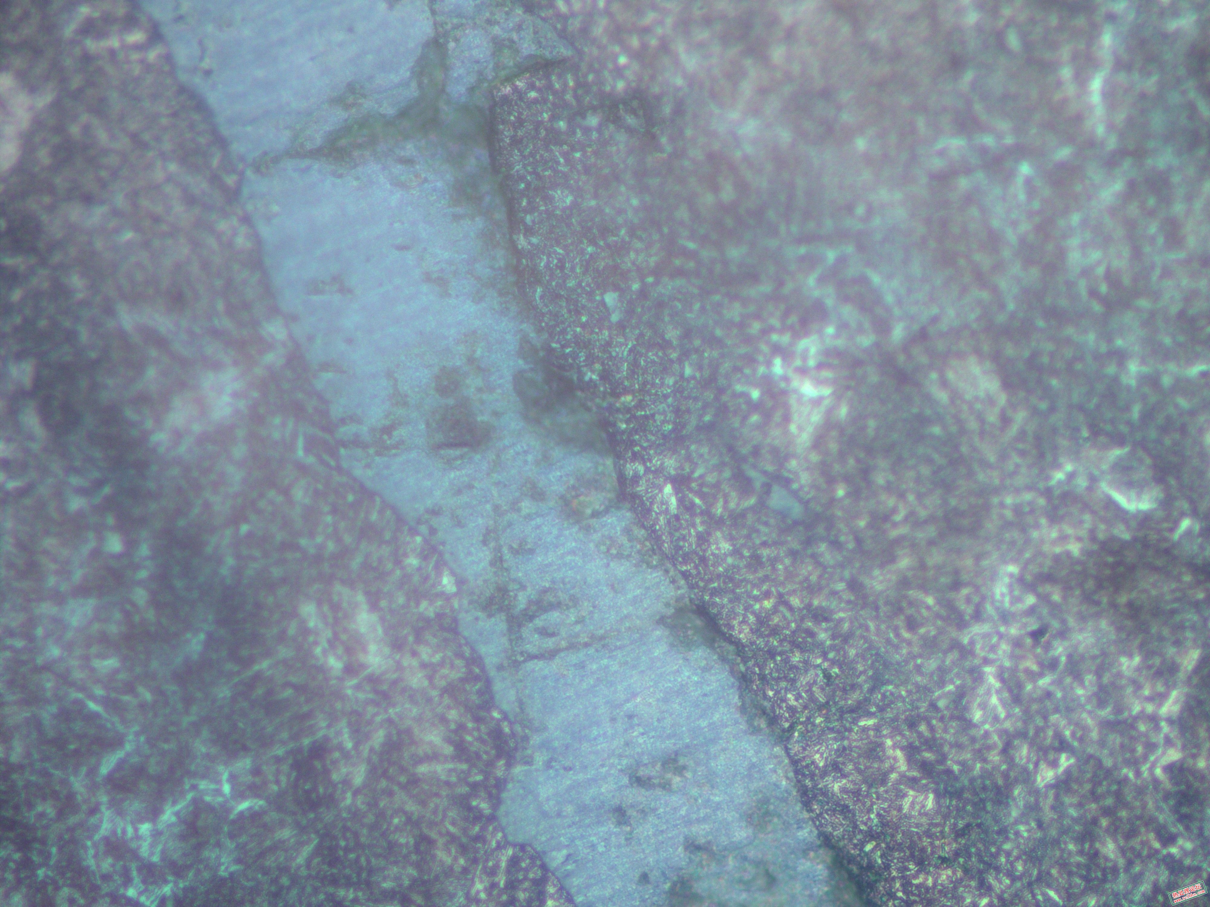 距断面5mm处400X2.jpg