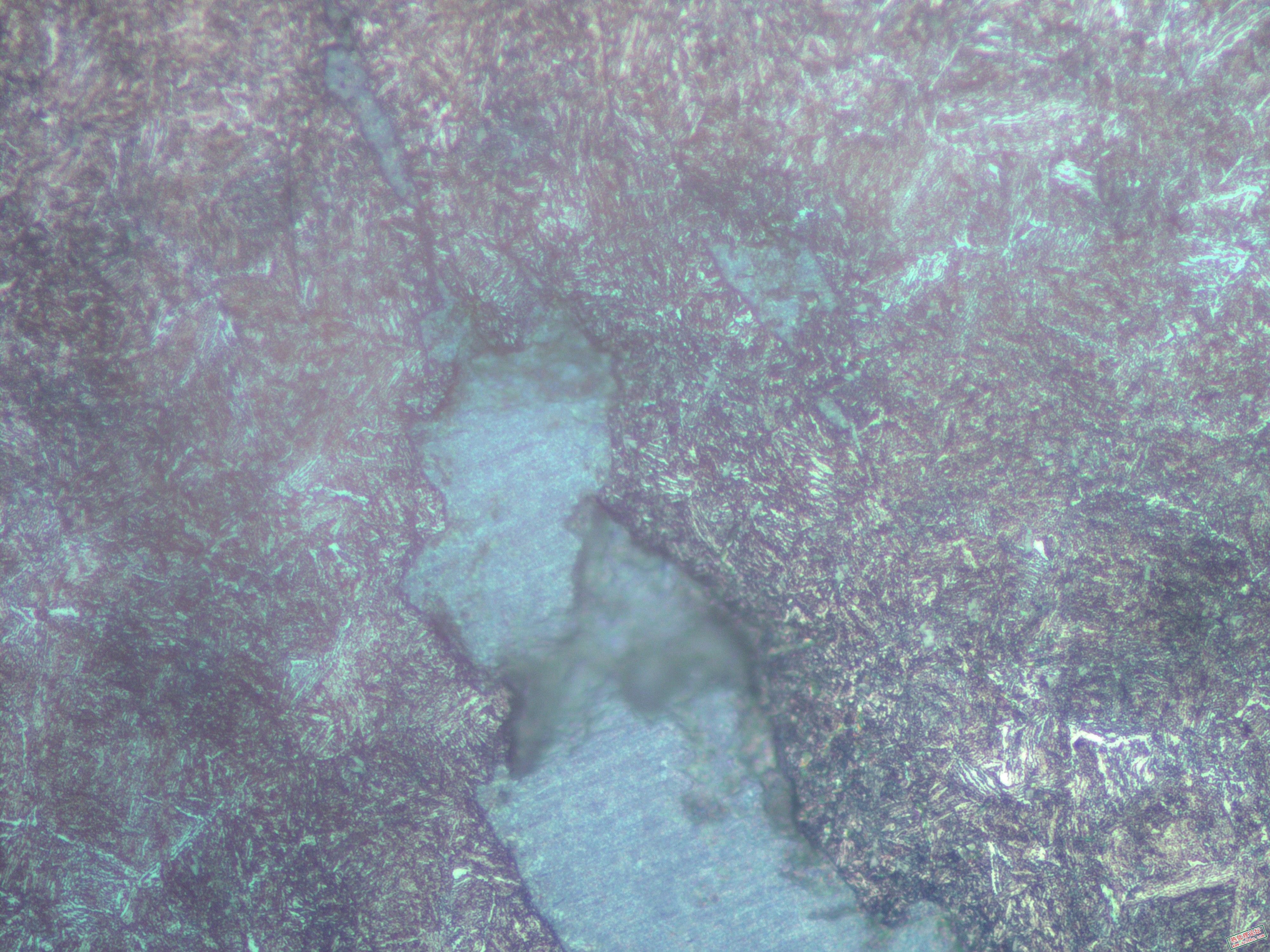 距断面5mm处400X3.jpg