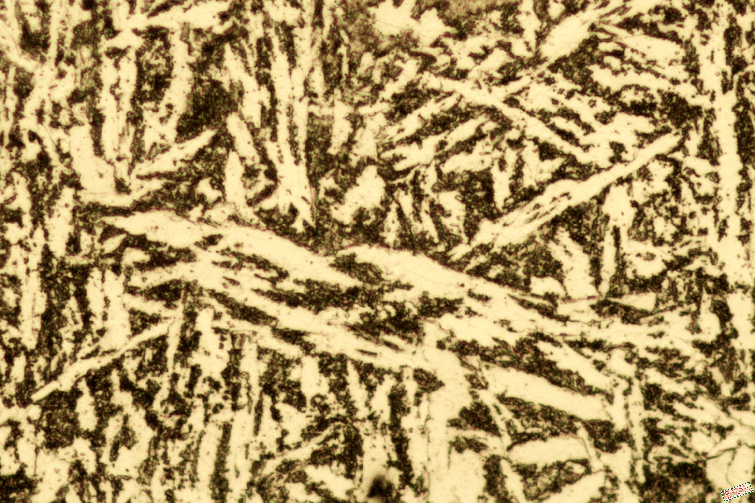 mmexport1787707158140.jpg