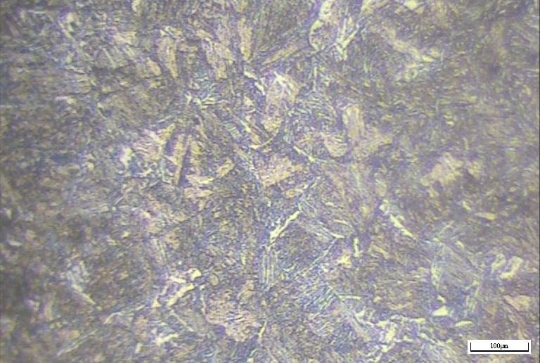 mmexport1789468773636.jpg
