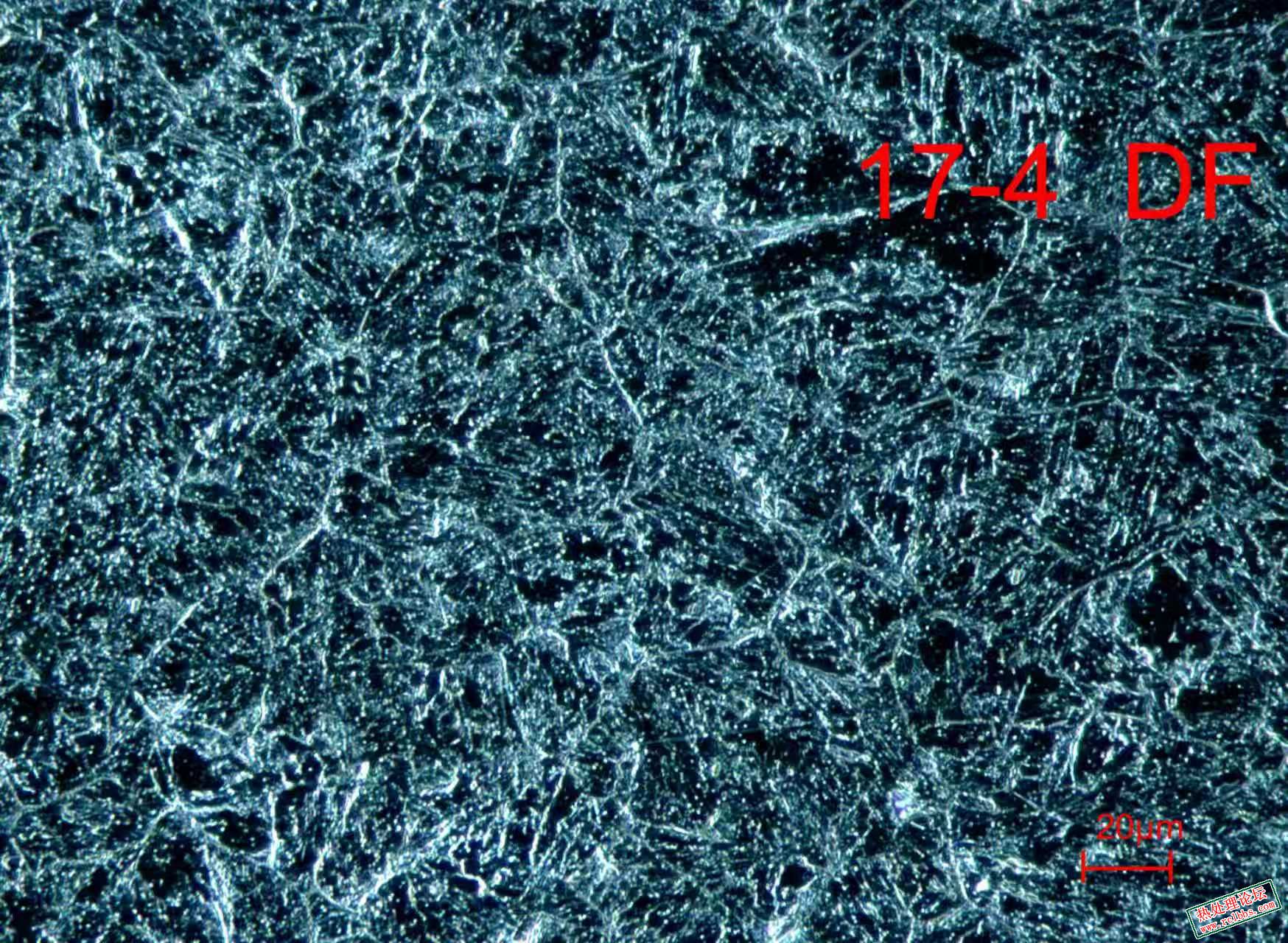 mmexport1772020110437.jpg