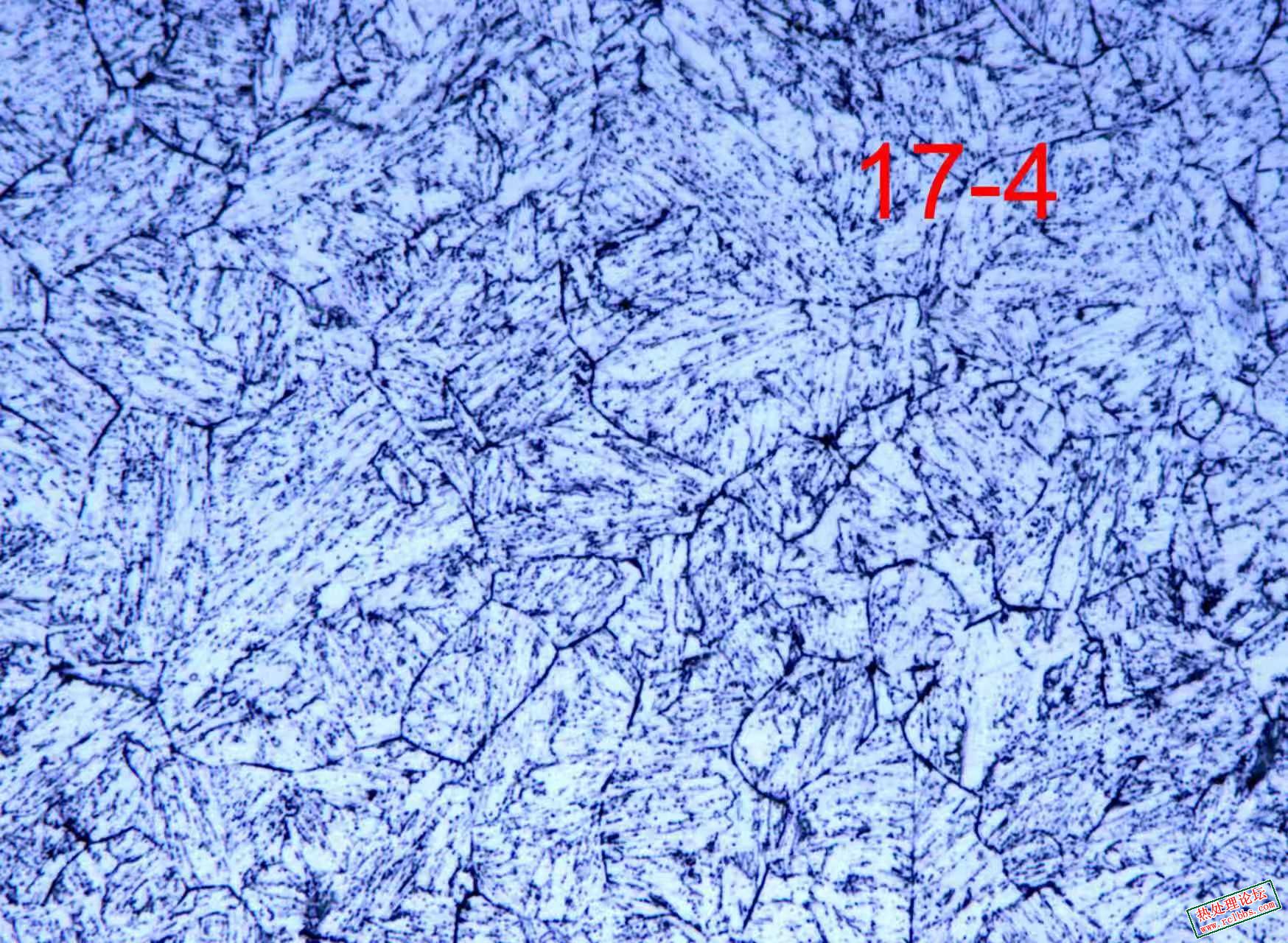 mmexport1772020128305.jpg