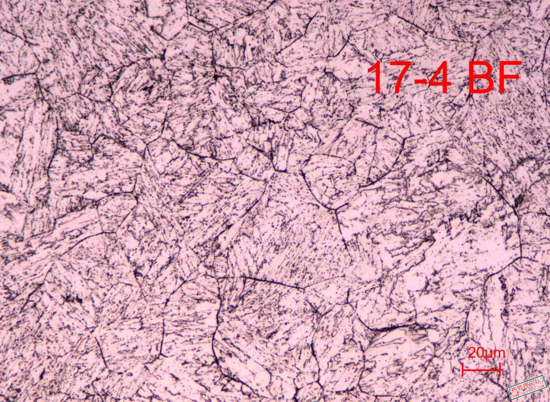 mmexport1772020114906.jpg