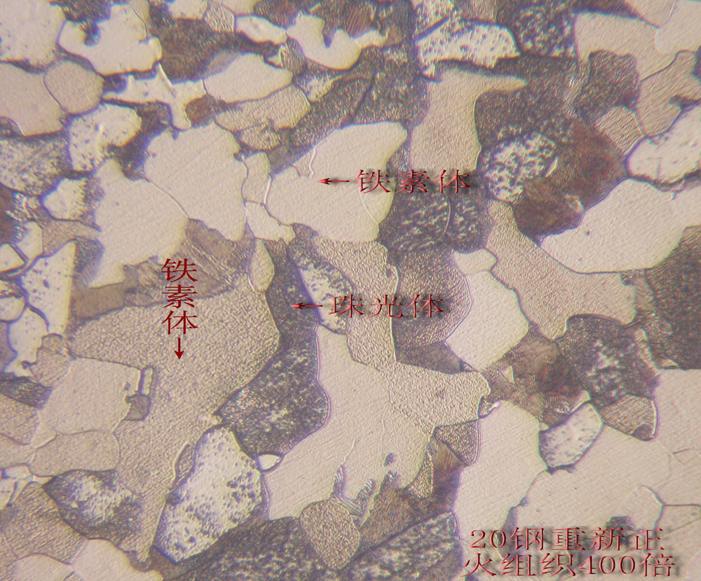 锻件20钢组织(重新热处理)400×.jpg