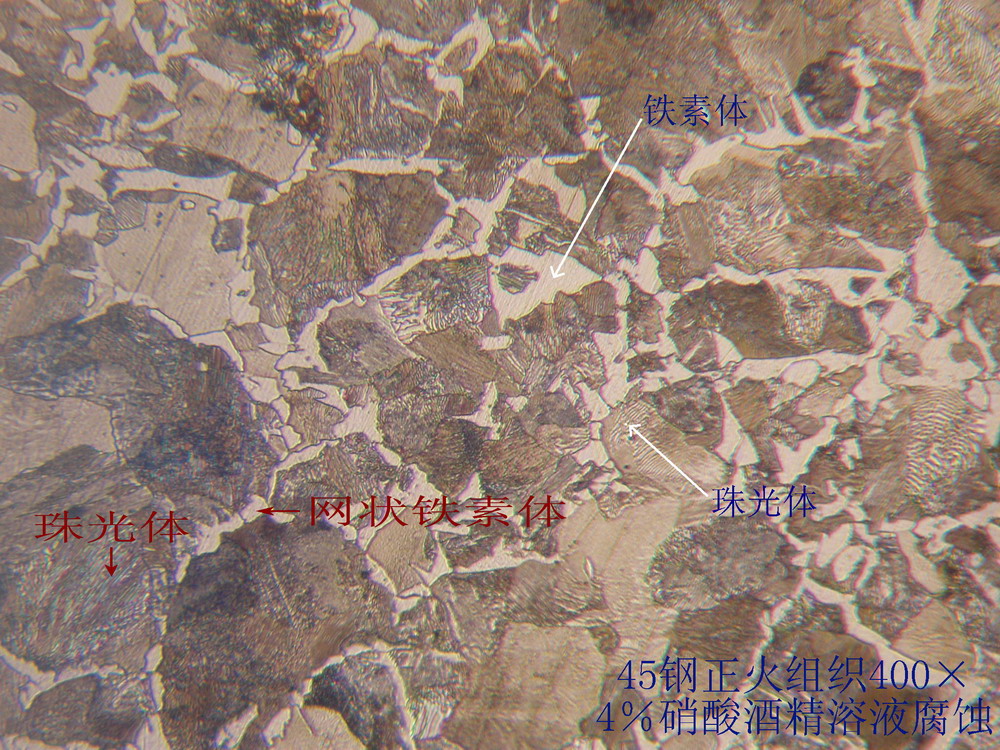 45钢正火400倍1.jpg