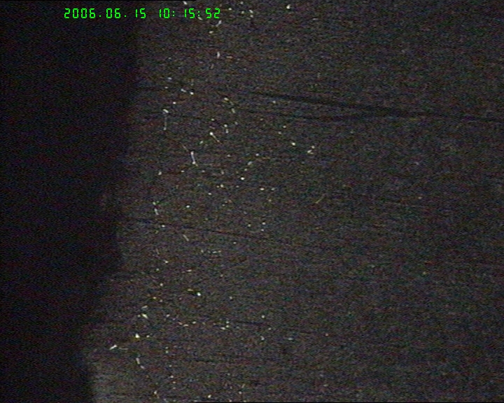 20060615-8.jpg