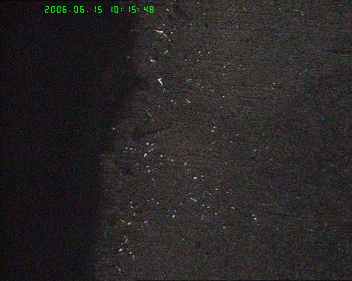 20060615-7.jpg