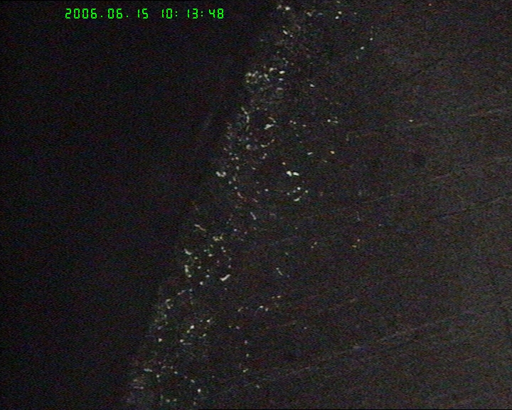 20060615-6.jpg