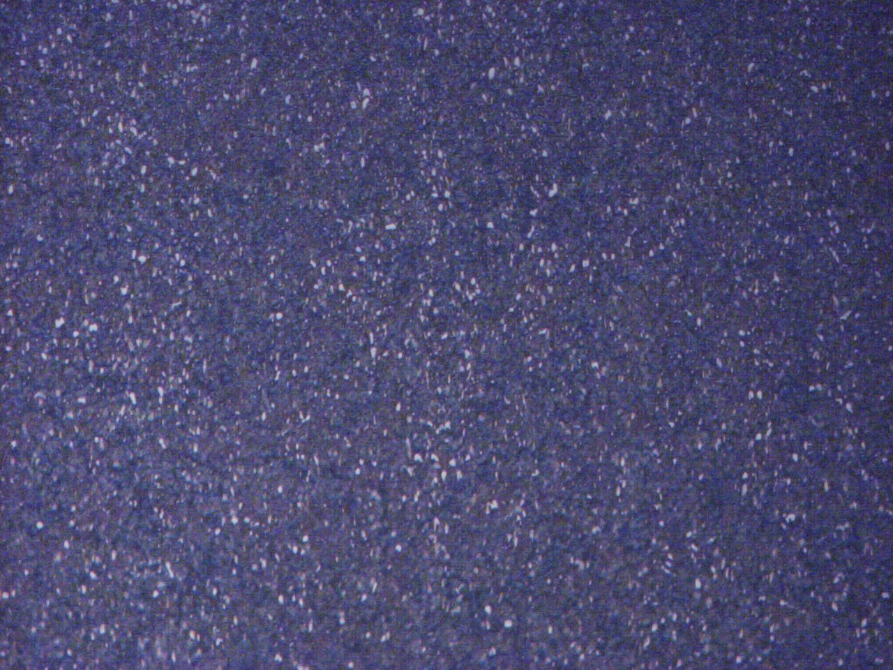 JPEG0004.JPG