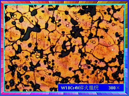 W18Cr4V淬火组织（300×）.jpg