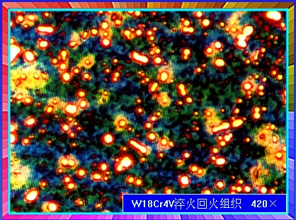 W18Cr4V淬火回火组织（420×）.jpg