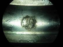 clip_image002.jpg