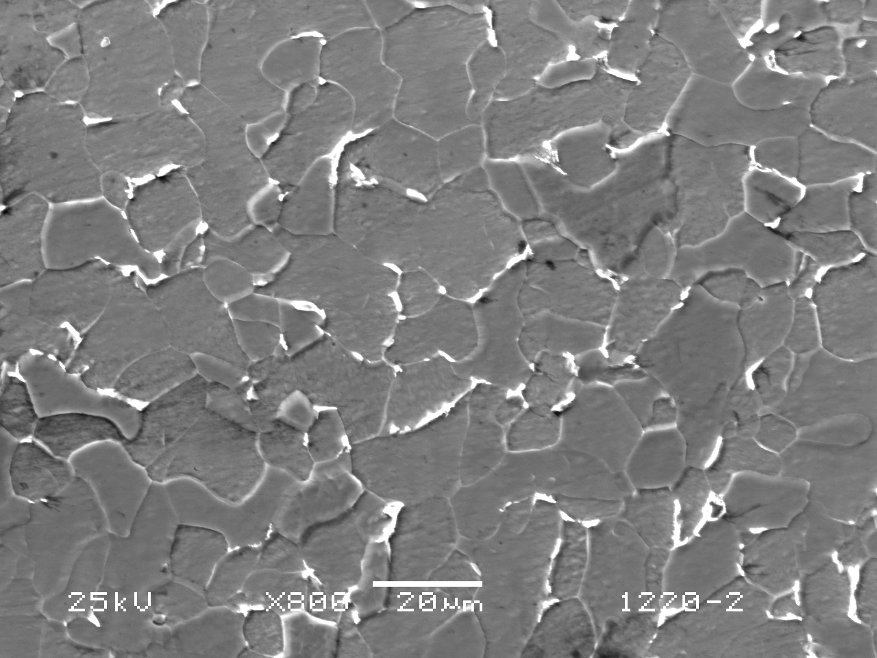 sphc-1.jpg