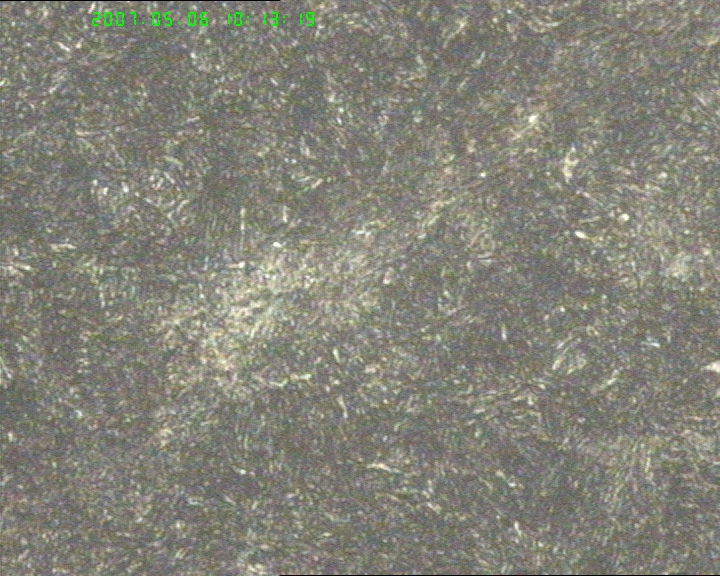 20070506-2.jpg