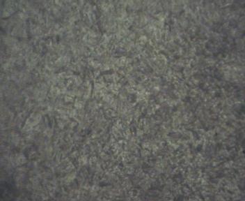 Frame00074.JPG