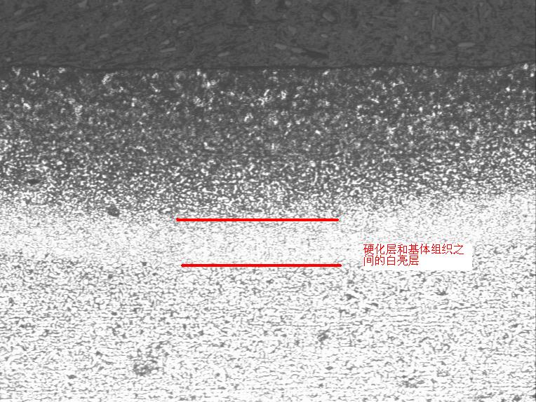 12-27 50x.JPG