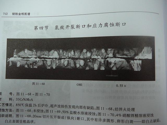 P10108051.JPG