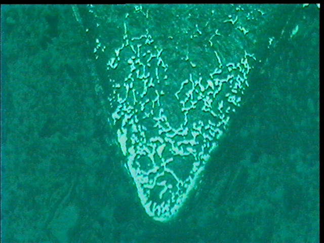 cap09.jpg