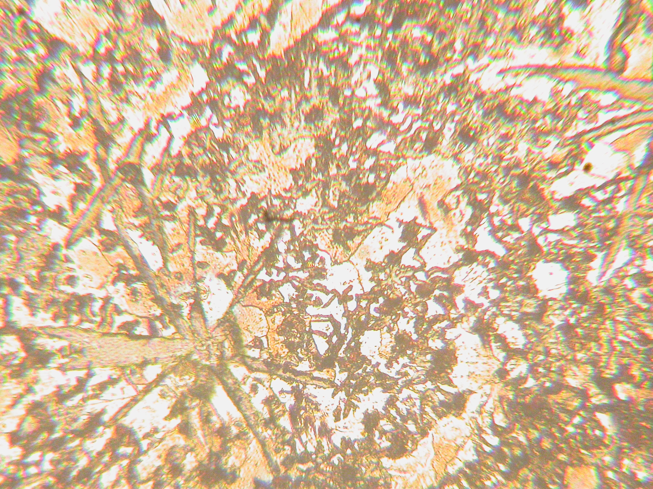 DSCN2401.JPG