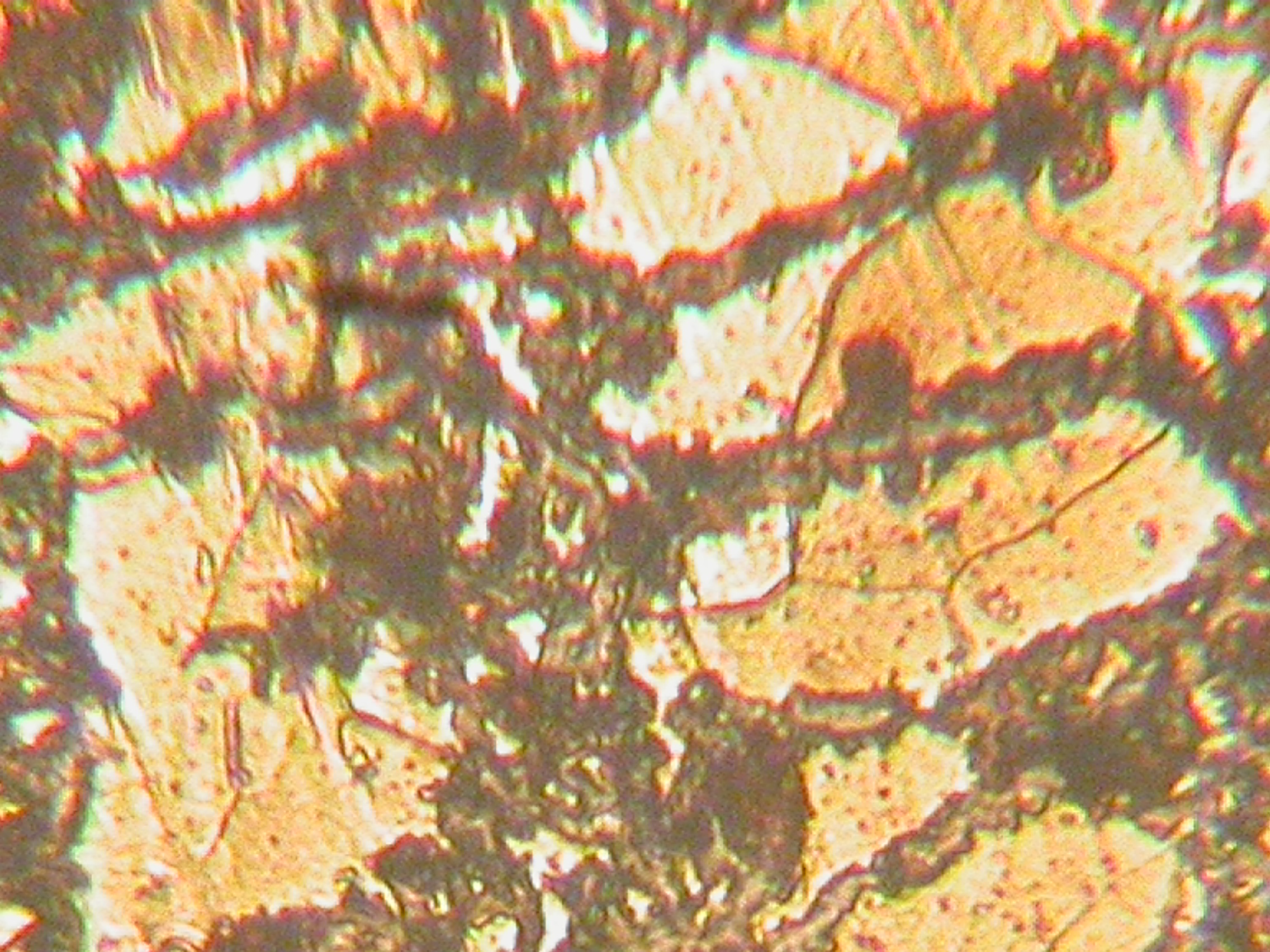 DSCN2397.JPG