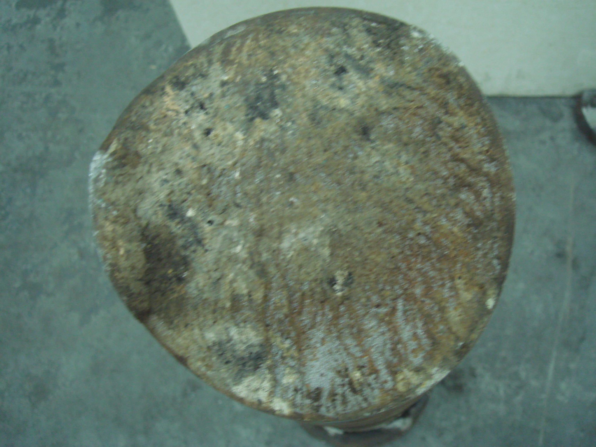DSC01617.JPG
