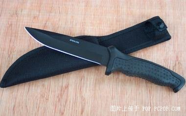 巴克平刃夜鹰.jpg