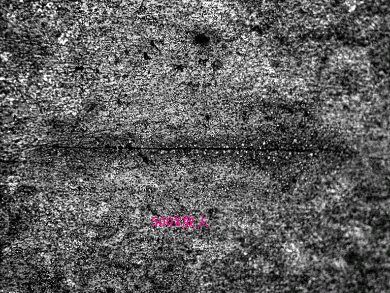 500x.GIF