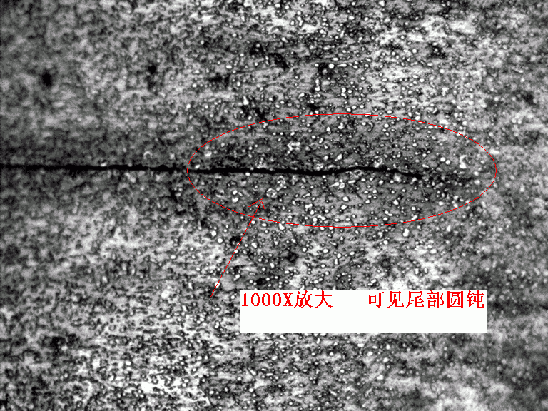 1000x.GIF