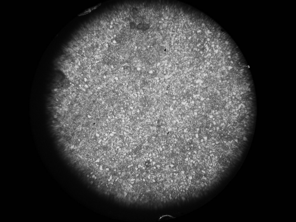 DA02 lamellar ferrite（片壮铁素体）.JPG