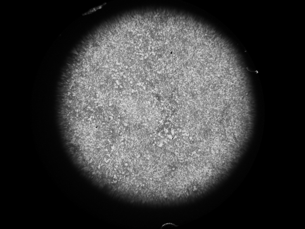 DA04 lamellar ferrite（片壮铁素体）.JPG