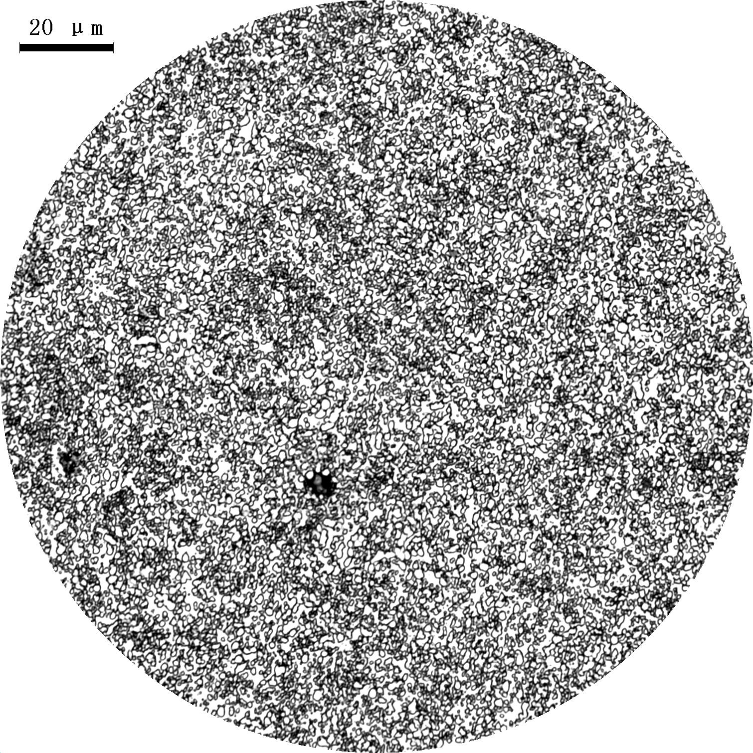 t03-500x.JPG