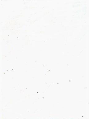 图5 夹杂物100X.JPG