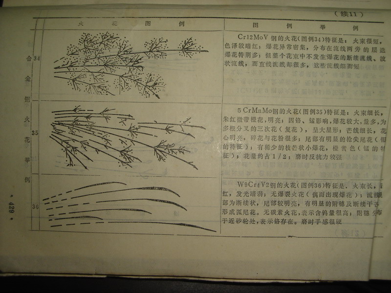 DSC05595_缩小大小.JPG
