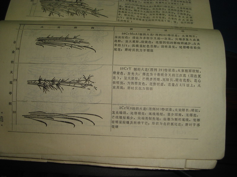 DSC05593_缩小大小.JPG