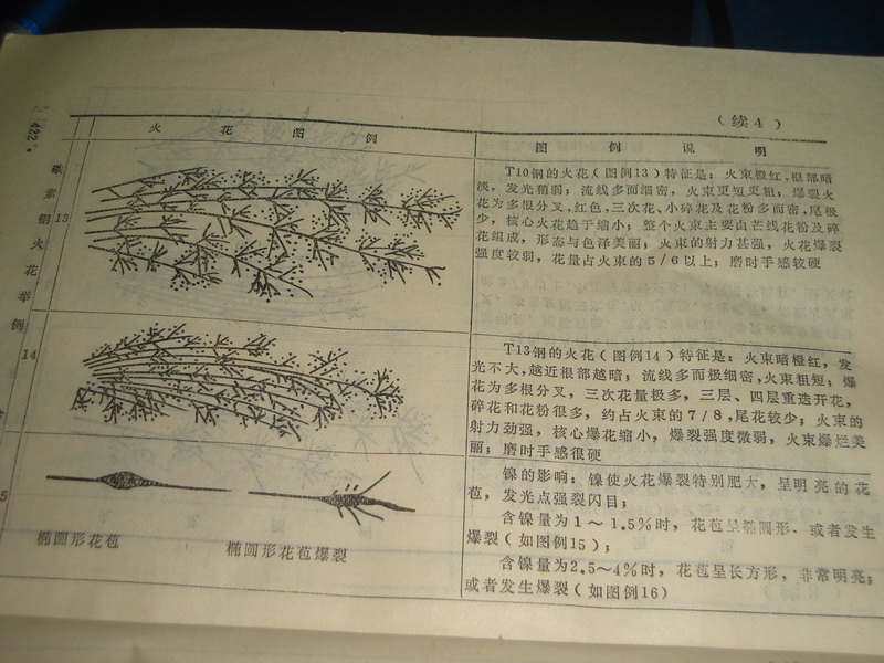DSC05587_缩小大小.JPG