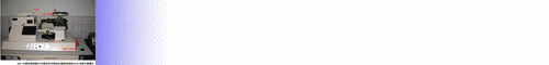 动画1.gif