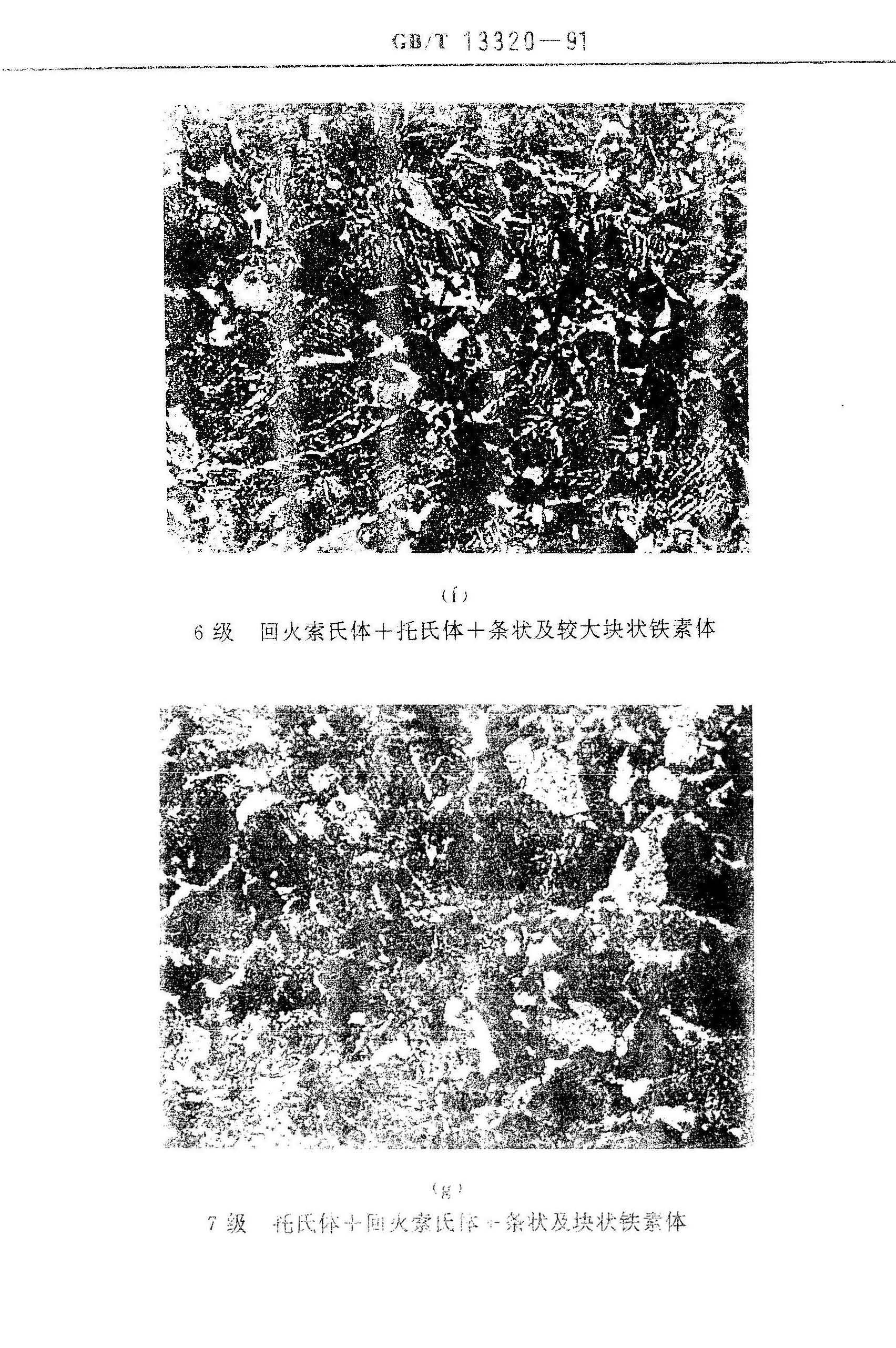 GBT13320标准中第四评级图的6、7级.jpg