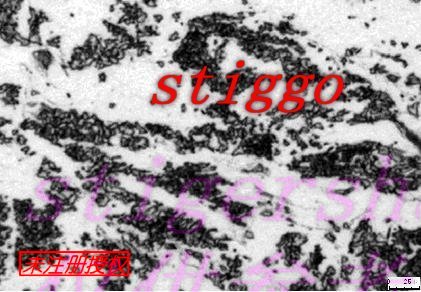 锻后箱冷1000W.jpg