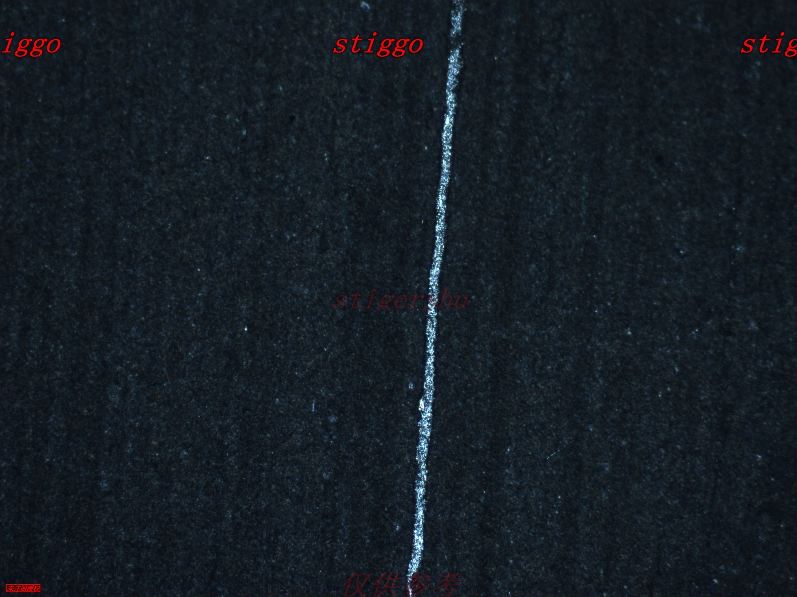 cl-cd2-100x.JPG