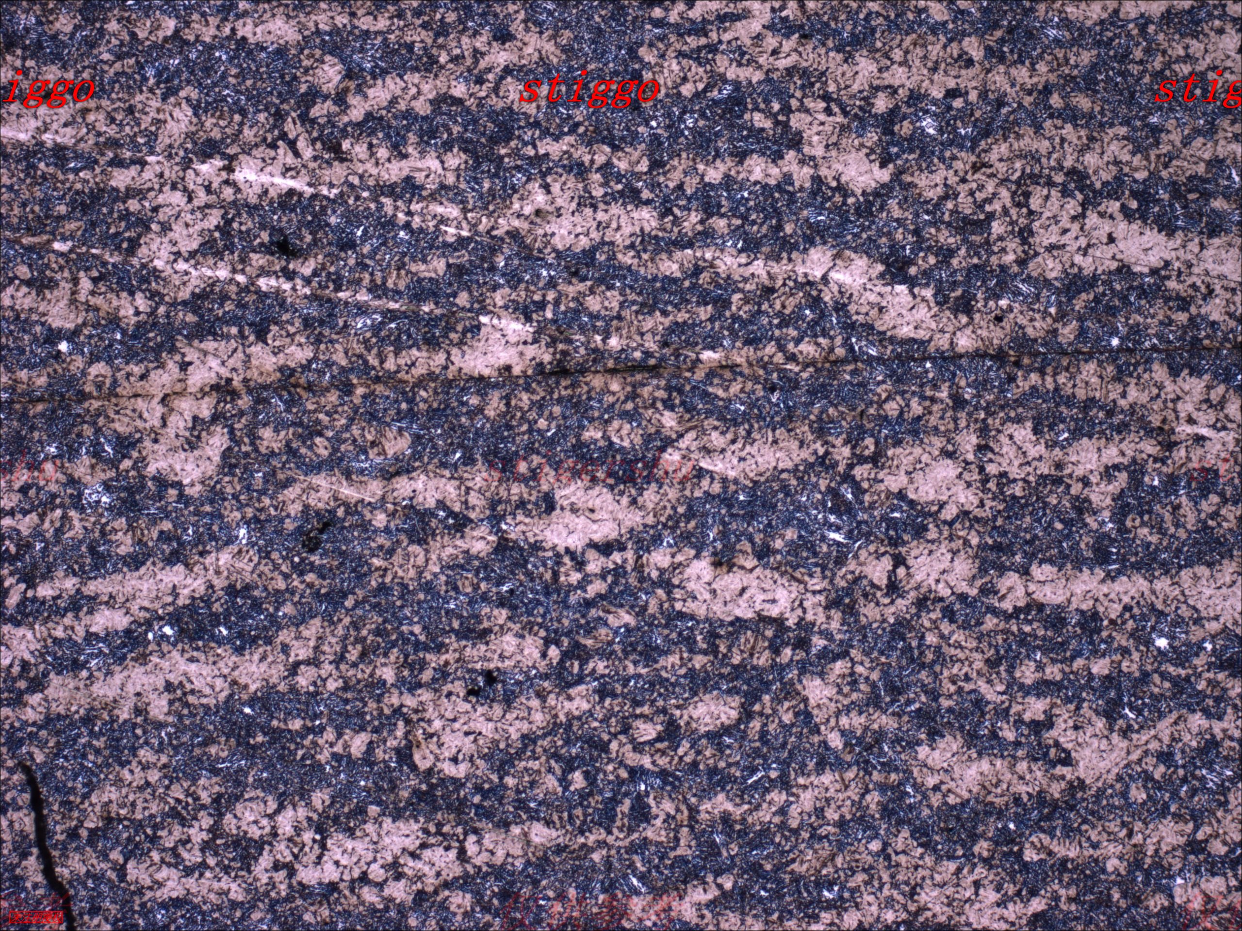 g-sc2-xin1-100x.JPG